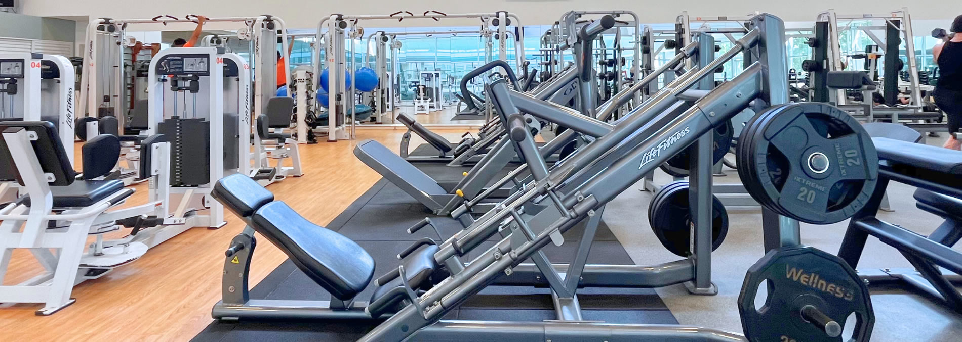 Banner musculação